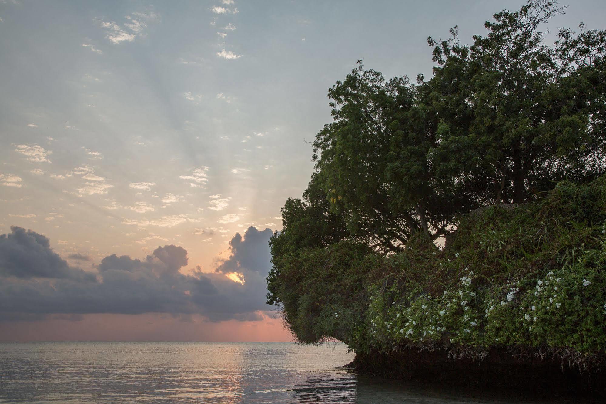 Ahg Dorado Cottage Malindi Kültér fotó